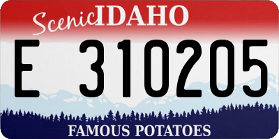 ID license plate E310205