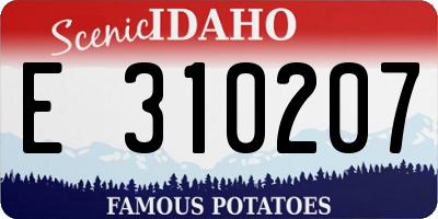 ID license plate E310207