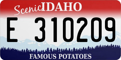 ID license plate E310209