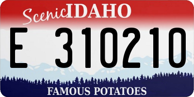 ID license plate E310210