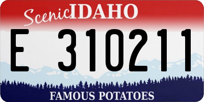 ID license plate E310211