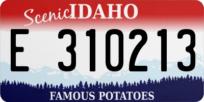 ID license plate E310213