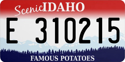 ID license plate E310215