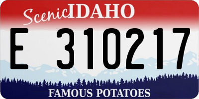 ID license plate E310217