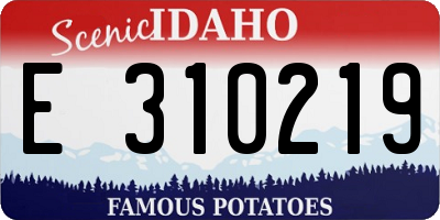 ID license plate E310219