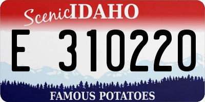 ID license plate E310220