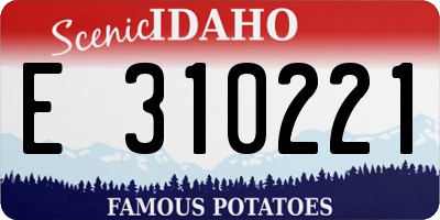 ID license plate E310221