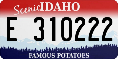 ID license plate E310222