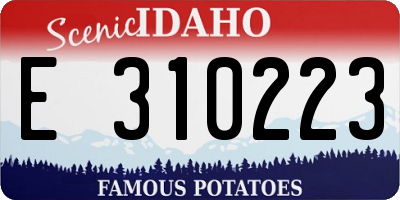 ID license plate E310223