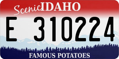 ID license plate E310224