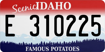 ID license plate E310225