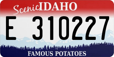 ID license plate E310227