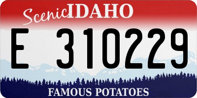 ID license plate E310229