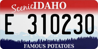ID license plate E310230