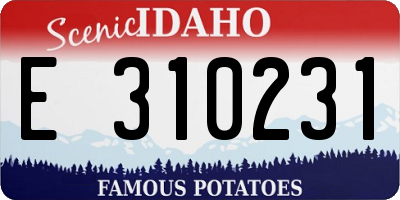 ID license plate E310231