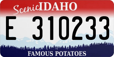 ID license plate E310233