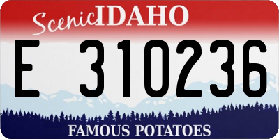 ID license plate E310236