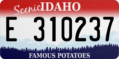 ID license plate E310237
