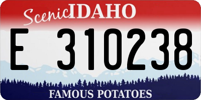 ID license plate E310238