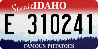 ID license plate E310241