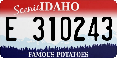 ID license plate E310243