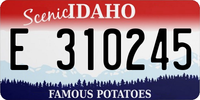 ID license plate E310245