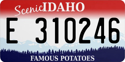 ID license plate E310246