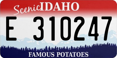 ID license plate E310247