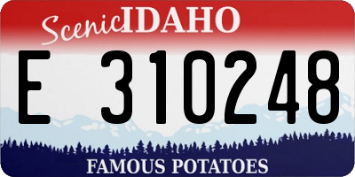 ID license plate E310248