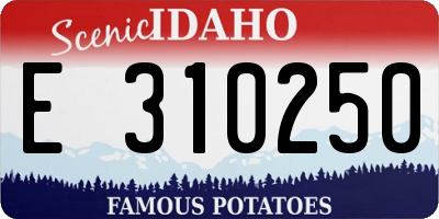 ID license plate E310250