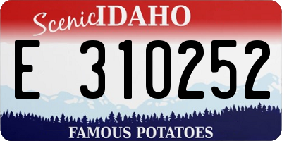 ID license plate E310252