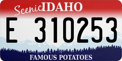 ID license plate E310253