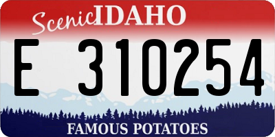 ID license plate E310254
