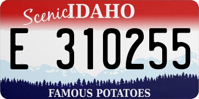 ID license plate E310255