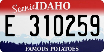 ID license plate E310259