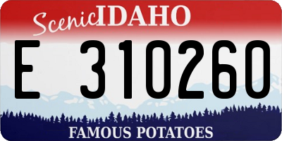 ID license plate E310260