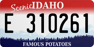 ID license plate E310261