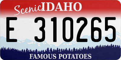 ID license plate E310265