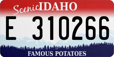 ID license plate E310266