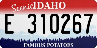 ID license plate E310267