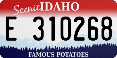ID license plate E310268