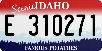 ID license plate E310271