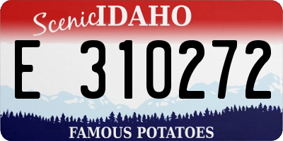 ID license plate E310272