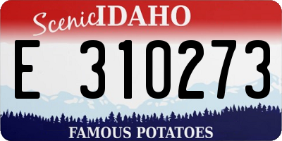 ID license plate E310273