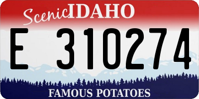ID license plate E310274
