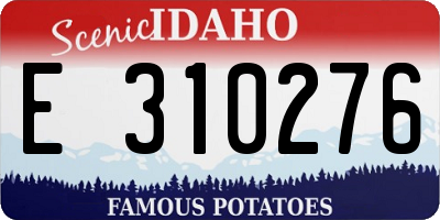ID license plate E310276