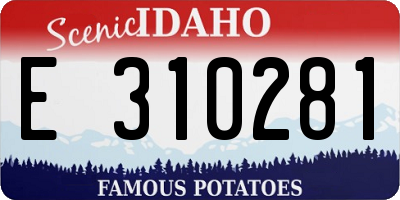 ID license plate E310281
