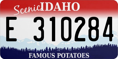 ID license plate E310284
