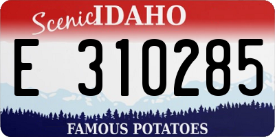 ID license plate E310285