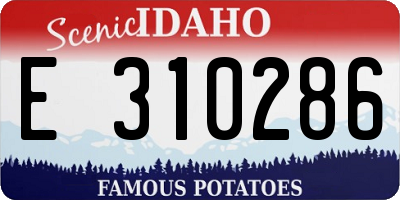 ID license plate E310286